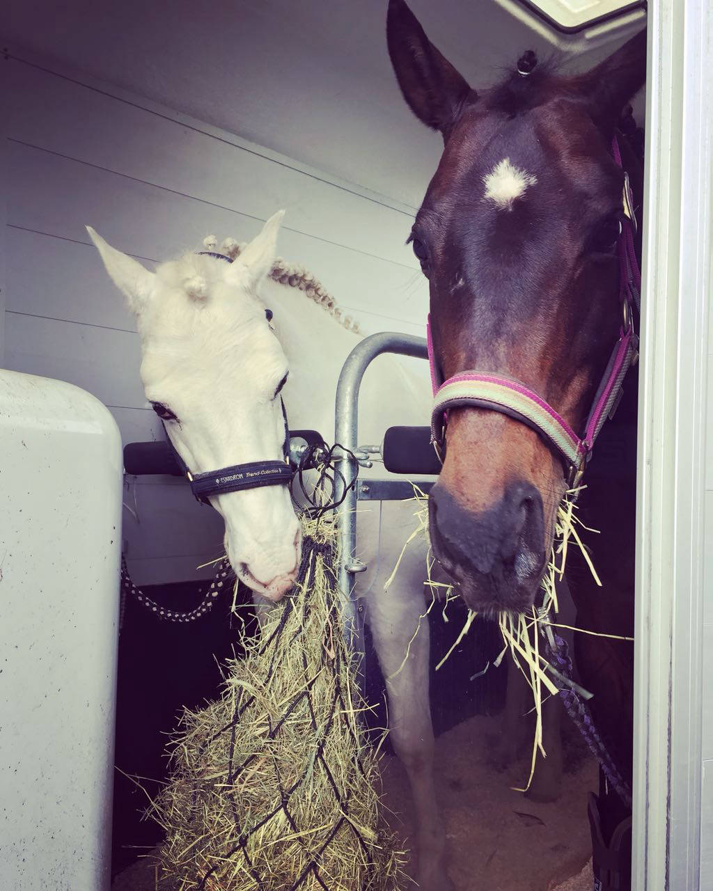 Nikolaus und Melody